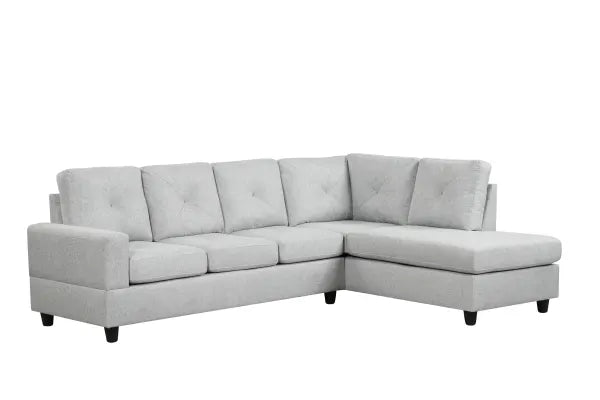 Desmond 2PC Modren Sectional - LDH Furniture